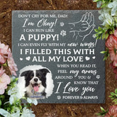 Ne pleure pas pour moi, je vais bien - Pierre commémorative photo personnalisée - Cadeau de sympathie pour les propriétaires d'animaux de compagnie